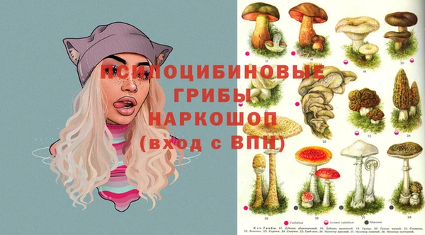 PSILOCYBIN Алексин